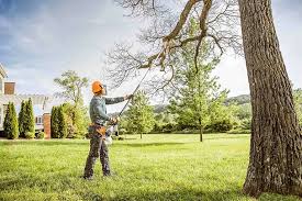 Best Emergency Tree Removal  in St Hedwig, TX